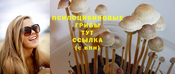 jwh Арсеньев